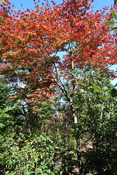 aUIkW0MLHp4sIZm1636858357