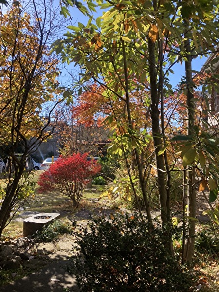 arqHI7cOsnpgYEE1636961135