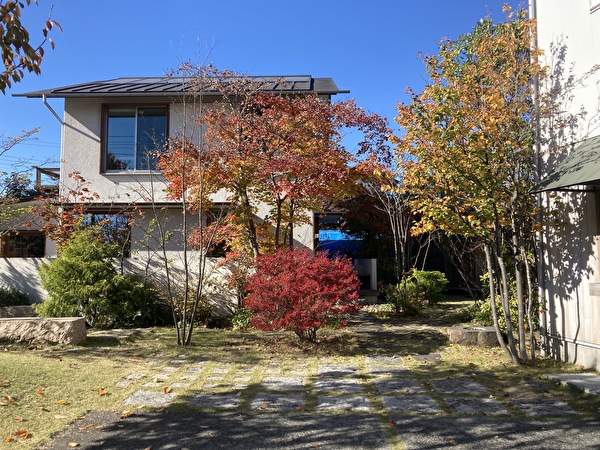 pcezmElsb6VhNmN1636961089