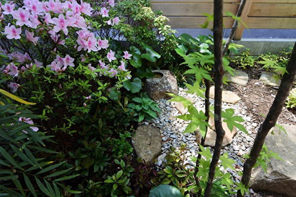 K6PE6R1lC31idtL1639037537