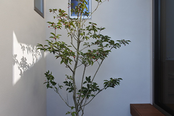 RJCNxbcnZOIqGjR1639991955