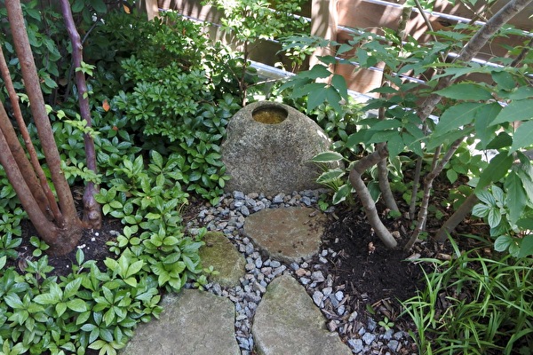 fVDVyGaMSVp2puK1639037505