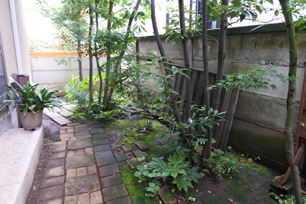 icVlBpKx6JPkJm41640931963