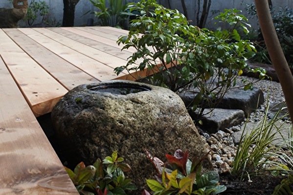 olLjghH66YkNvru1639037518