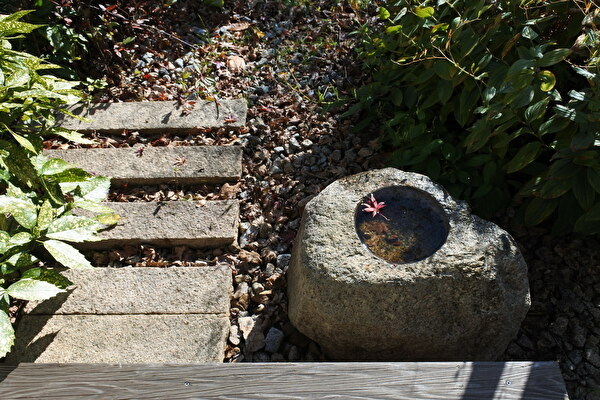 sJWjHJ3VOfykFMP1639037434