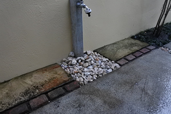 yE8xr4siYyMq6Vc1640931901