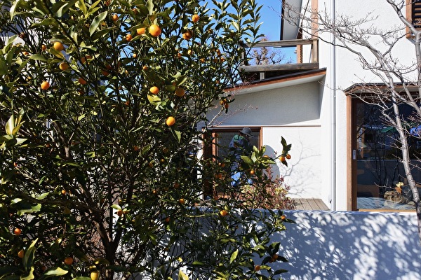 Bug63RWkphnNIIM1641688681