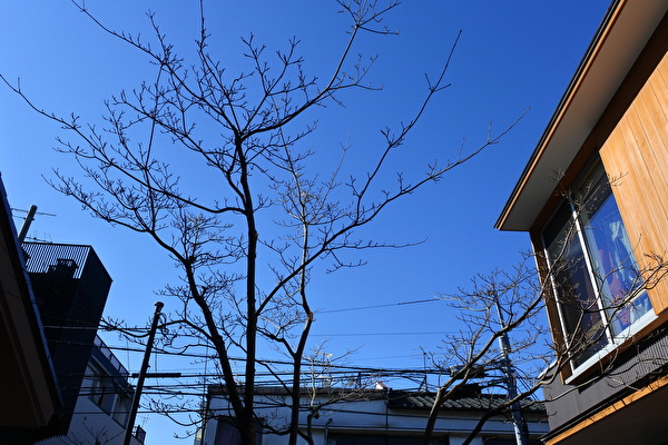 UKdDRK4wvrYQX3A1642838668