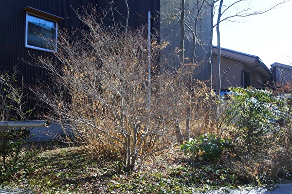 kjSdcF2K2YeZdVB1642838640