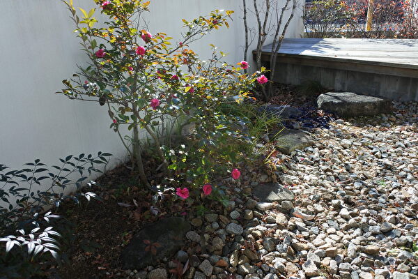 ta9b5xGPE9xRkoM1641688726