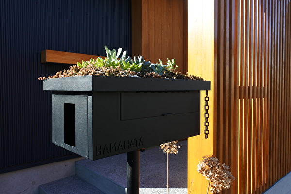 1iQm0TMwnpHtNdU1645748752