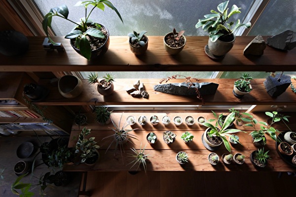 1zctamOxBGH2dzp1645748863