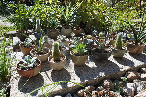 AktxVbN8RGMw9ro1645748815