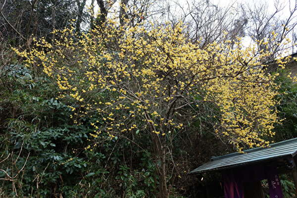 Iqy9D7FzmJK1rGB1643526051