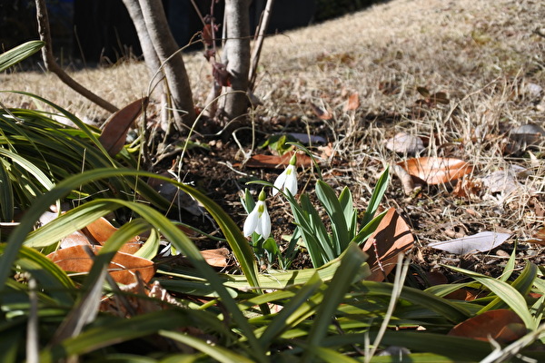 LmgTMk0N1EtBBN21644566591