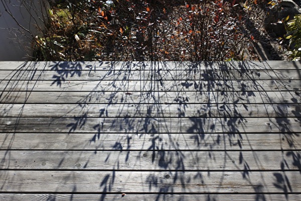 MJi4yg0KcfWbuXZ1644566575