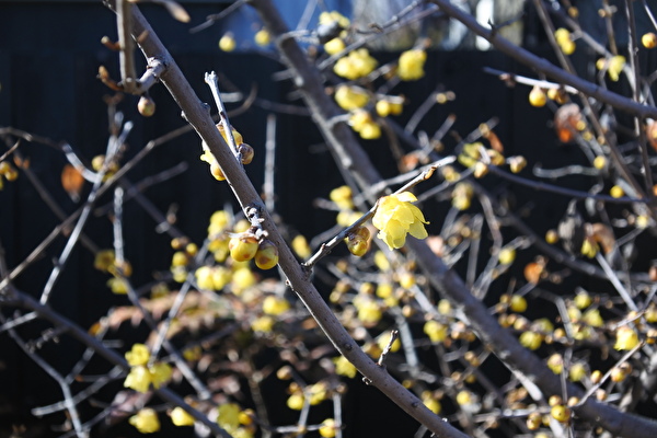 PpgICVgAq2o7ttQ1644566556