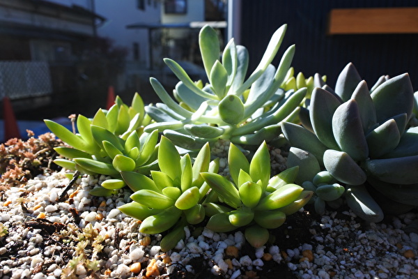 小さな業務拡大