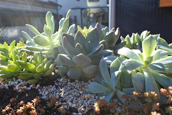 YbyAHXPnGmu9vs31645748779