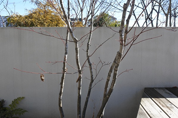 dxZKM2Qpikg5F8K1644566433