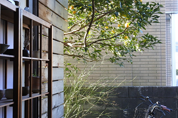 4CB5UHutyOMNGkP1646183505