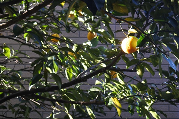 DRvq1GyBJu8AG9M1646183543