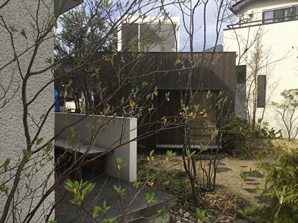 Dr6DD6JRbydOQsS1648366745