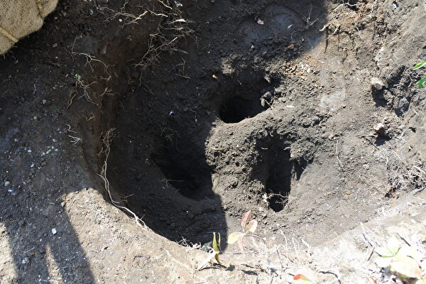 EUKcFKLxAVJ8eRD1647061876