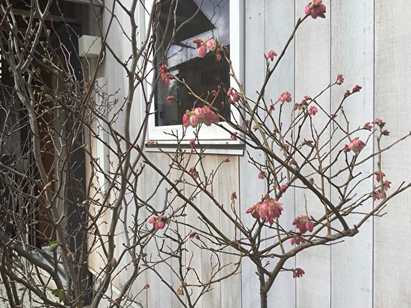 HKB6zdRTWlZC3Wd1648366783