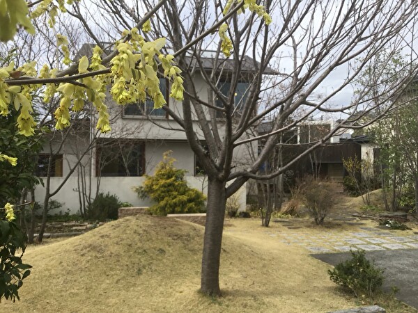 M2Ni7g0uMUmjeF51648366696