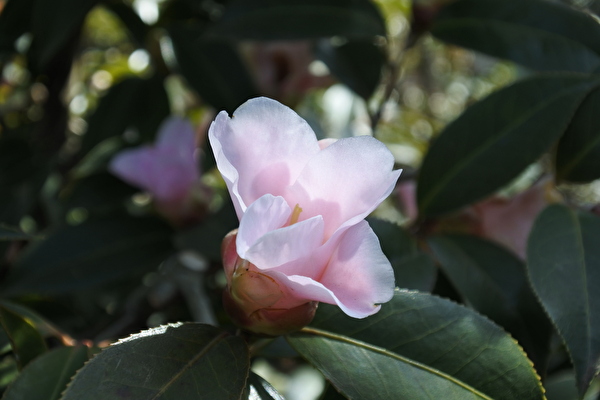 Naa5ZDBkjvP22Wd1646467866