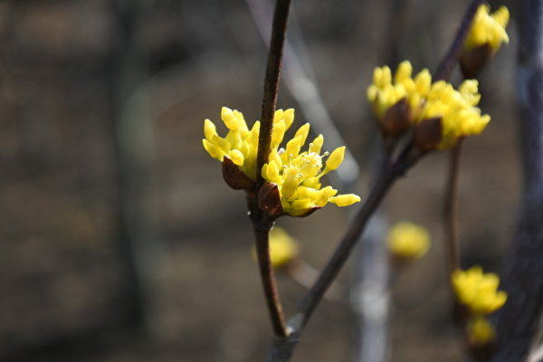 P1H33iHx8ZbnylU1646467900