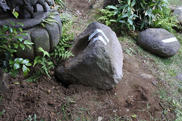 Rc8WbvsB6ByeLAZ1646907403