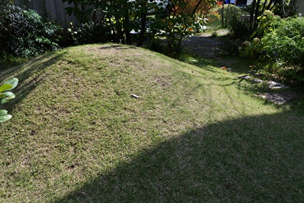 UYepjcMrfw89CCH1647129053