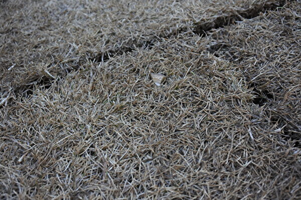 UkSnR0rYYBHMdNF1647061966