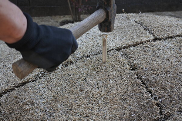 arqkg6EnadVApGE1647061951