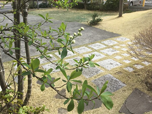 drTqSs1FdiF1jYr1648366766