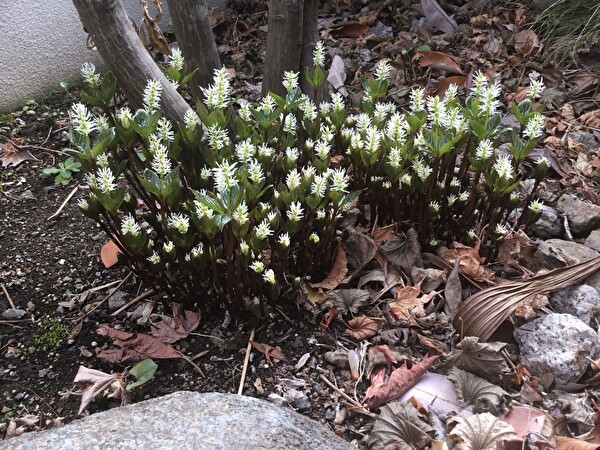 huMggL4RWMhh3Ac1648366800