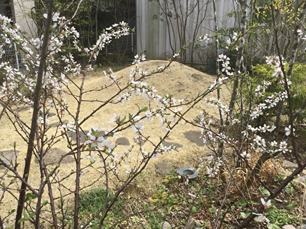 lTTxudR4t2tywEi1648366674