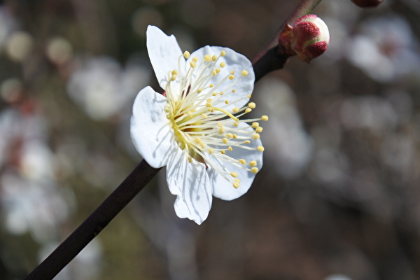 lZelzgAGEg0j3YS1646467882