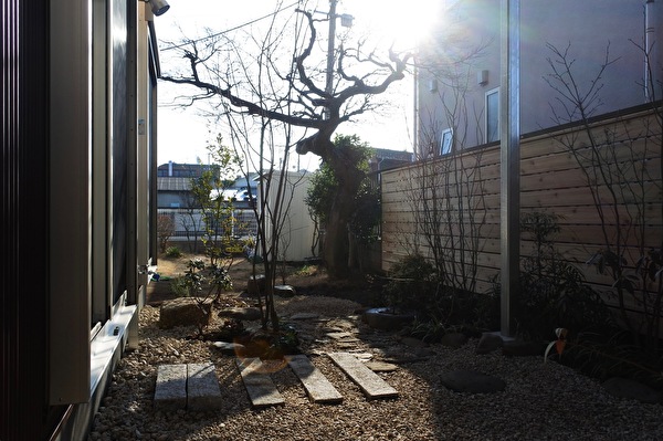 xfQ1ql2C3cow7Bv1646907266