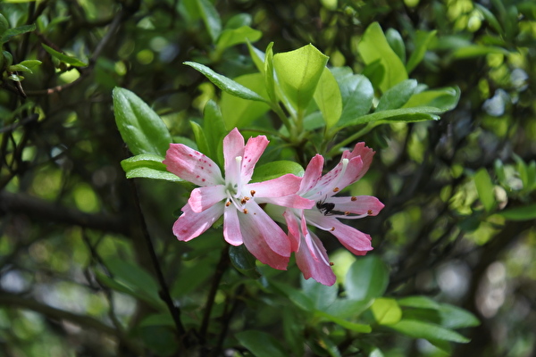 06kXllJSmCb4EaV1650612376