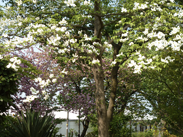 6qmaZRq9HCxw6bA1650178467