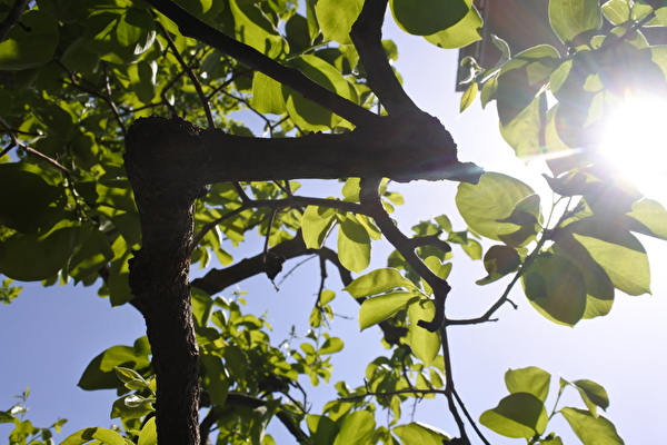 8qPiWIksOiaJh7P1650612244