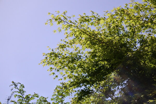 ASt7sH2XjdasBH51650612310