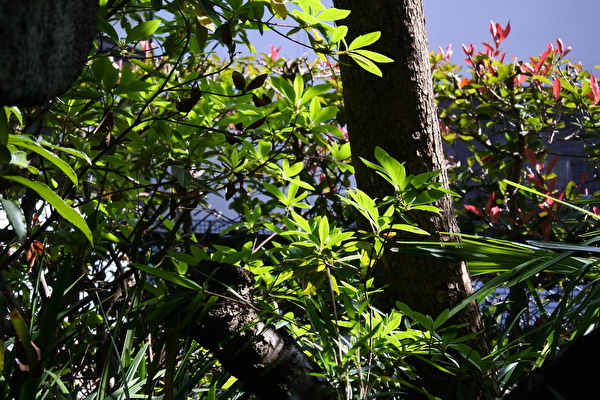 FRPkJ1eTSFYQcr61650612344