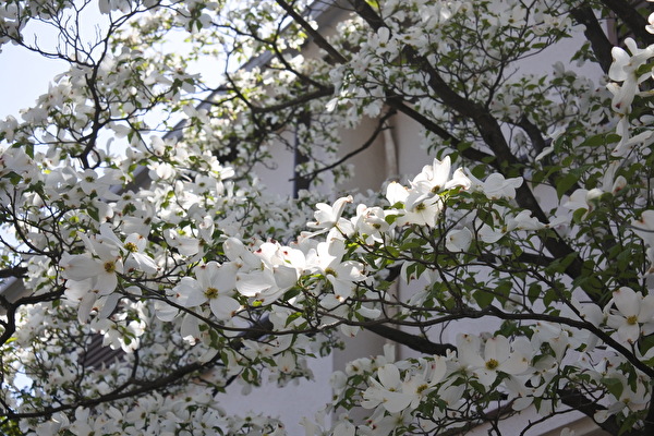 NdPxLE7H3PhZGrj1650612228