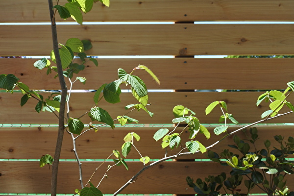 NhREG3AuaQ5tmN21651306964