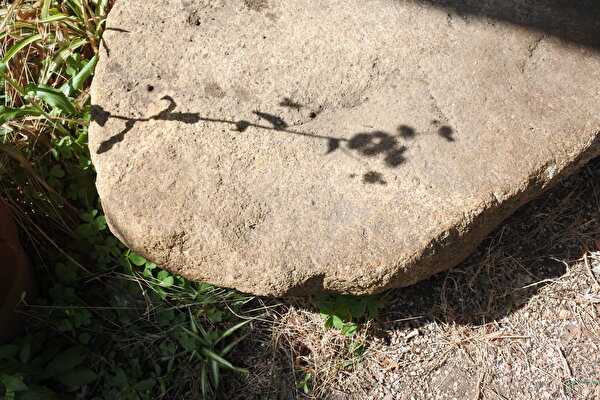 O4bC8z5Qcj56y3s1650612401