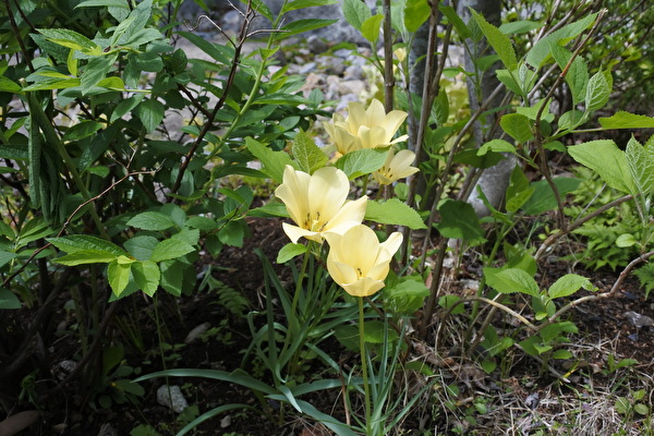 Q0Z7TWu2toWAc6K1650178380